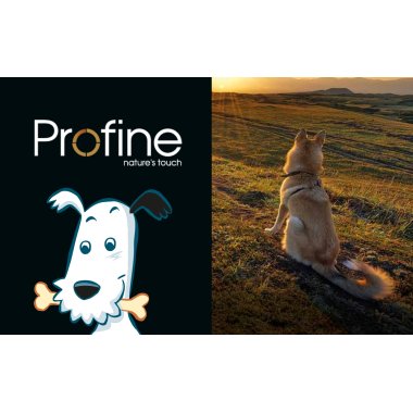 Profine
