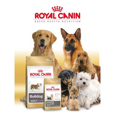 Royal Canin
