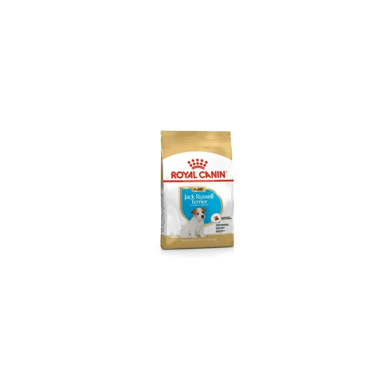 Jack Russel Puppy 1,5 kg