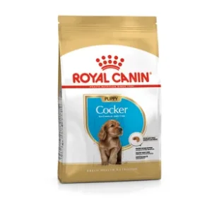 Cocker Puppy 3 kg