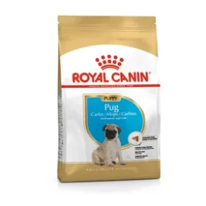 Pug Puppy 1,5 kg