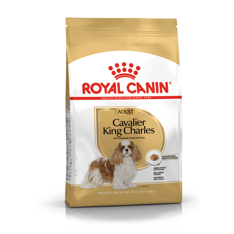 Cavalier King Charles Adult 7,5 Kg.