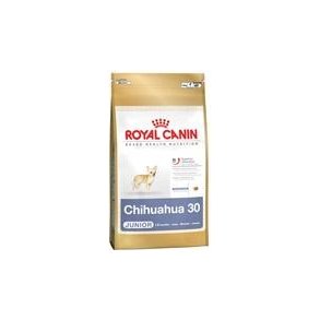 Chihuahua Junior 1,5 Kg.