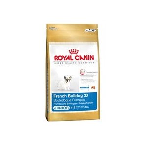 French Bulldog Junior 10 Kg.