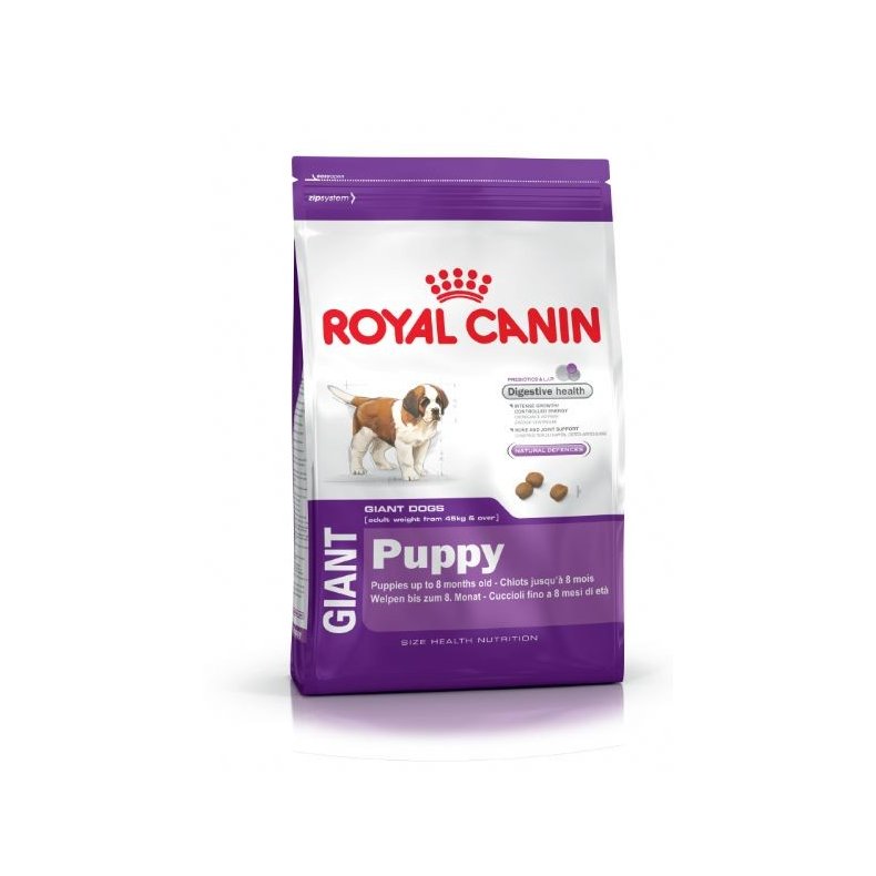 Giant Puppy 15 kg.