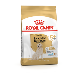 Labrador Retriever Adult 5+ 12kg