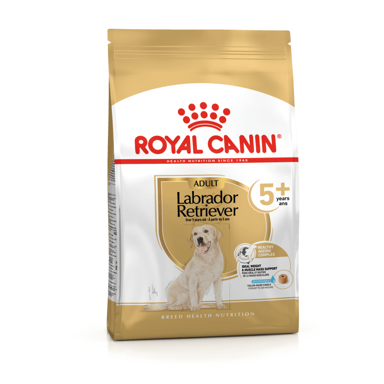 Labrador Retriever Adult 5+ 12kg
