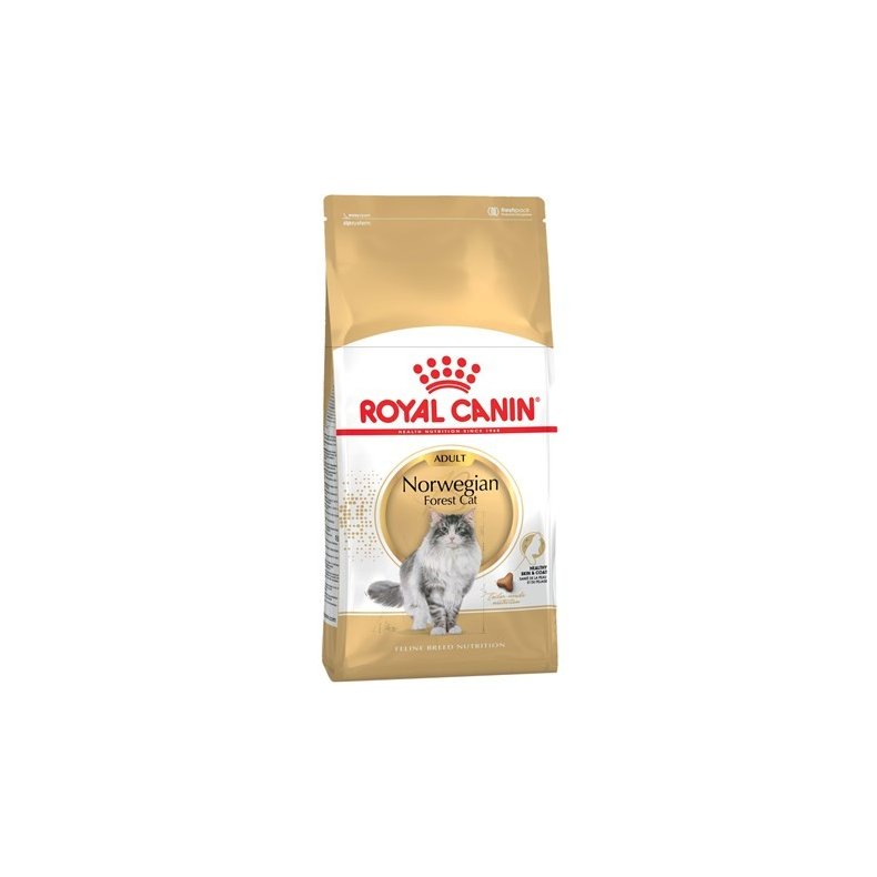 Norsk Skovkat Adult 10 kg.