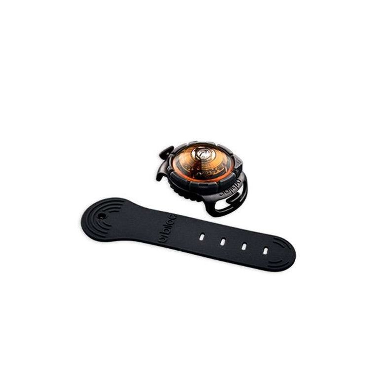 Orbiloc Dog Dual - AMBER