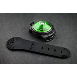 Orbiloc Dog Dual - GRN