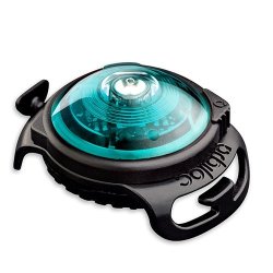 Orbiloc Dog Dual - Turkis