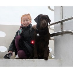 Orbiloc TWIN - Dog Dual