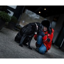 Orbiloc TWIN - Dog Dual