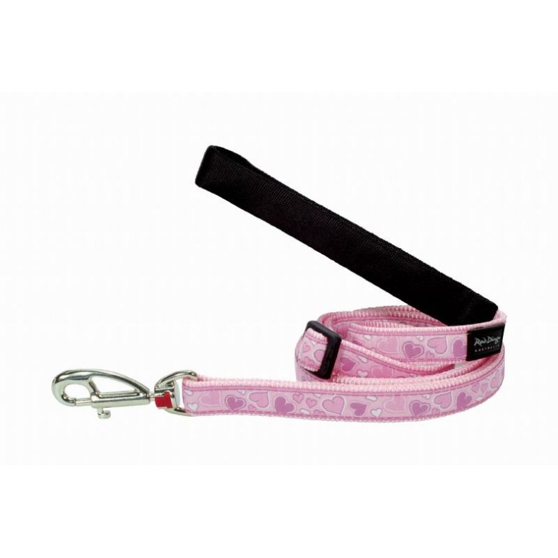 Red Dingo Frerline, Breezy Love