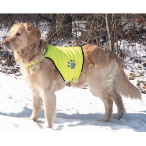 Sikkerhedsvest til hunde