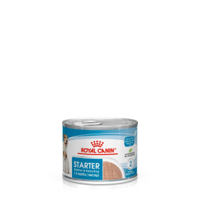 Starter Mousse 195 gr.