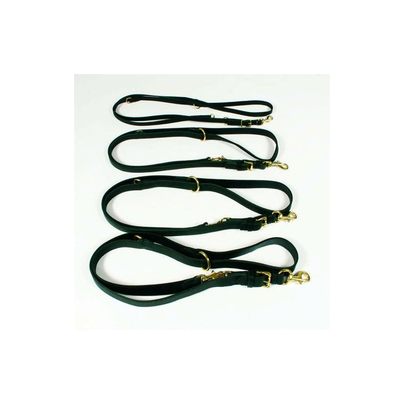 Timely dressurline, kalvelder