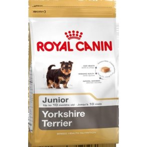 Yorkshire Terrier Junior 1,5 Kg.