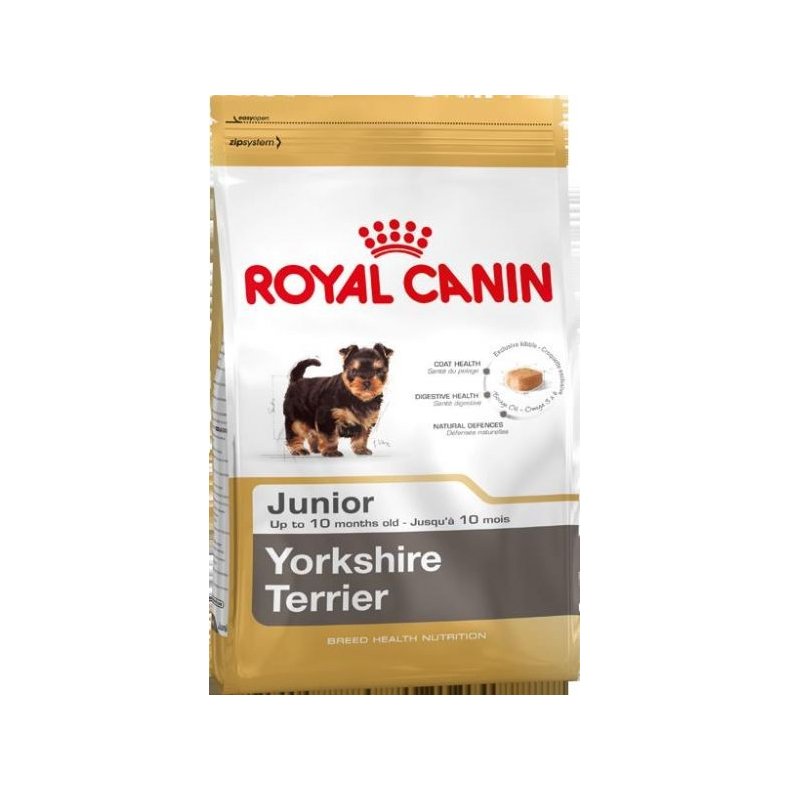 Yorkshire Terrier Junior 1,5 Kg.